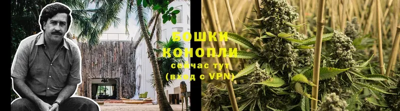 Конопля индика  сайты даркнета формула  Котельниково 